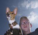 Basenji KSM Muenster 2014 (1127)